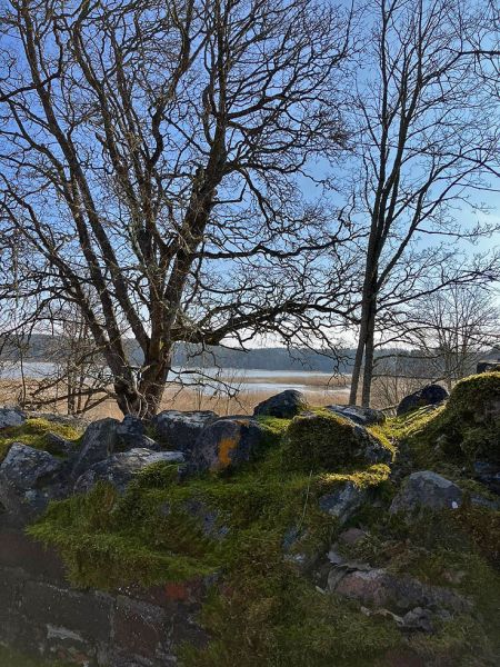 files/_uploads/2003_92_Finnland/Ruine19.jpg