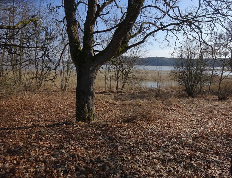 files/_uploads/2003_92_Finnland/Ruine7.jpg