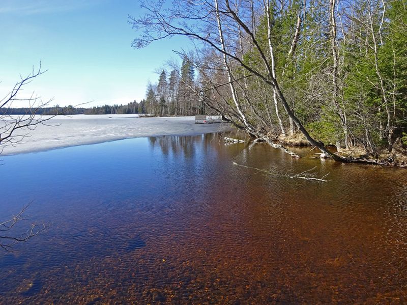 files/_uploads/2003_92_Finnland/Waldsee6.jpg