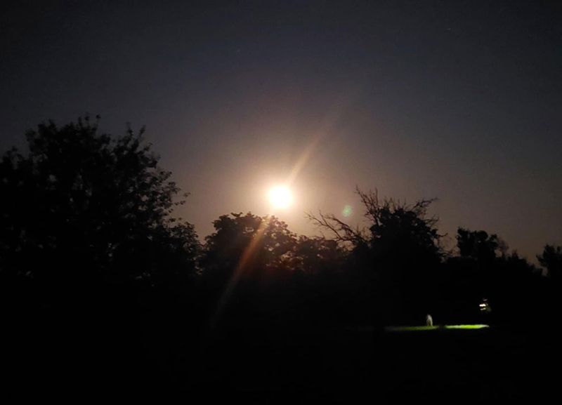 files/_uploads/2004_63_CoursingSAlsaZiar/Vollmond.jpg