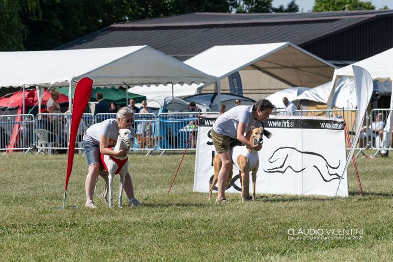 files/_uploads/2004_65_Postojna/Coursing1Start.jpg