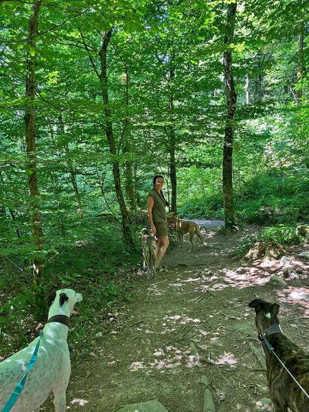 files/_uploads/2004_65_Postojna/Hoehenwanderung6.jpg