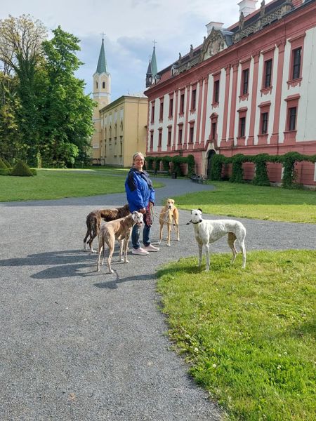 files/_uploads/2004_68_WCC_2/Schloss4.jpg
