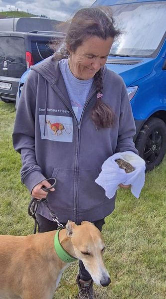 files/_uploads/2004_69_WCC_1/Camp15Hase.jpg