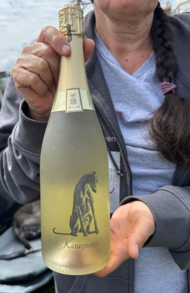 files/_uploads/2004_69_WCC_1/Camp5Sekt.jpg