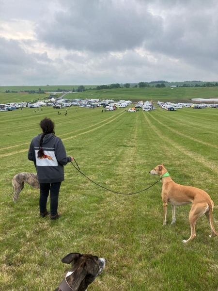 files/_uploads/2004_69_WCC_1/fields4.jpg