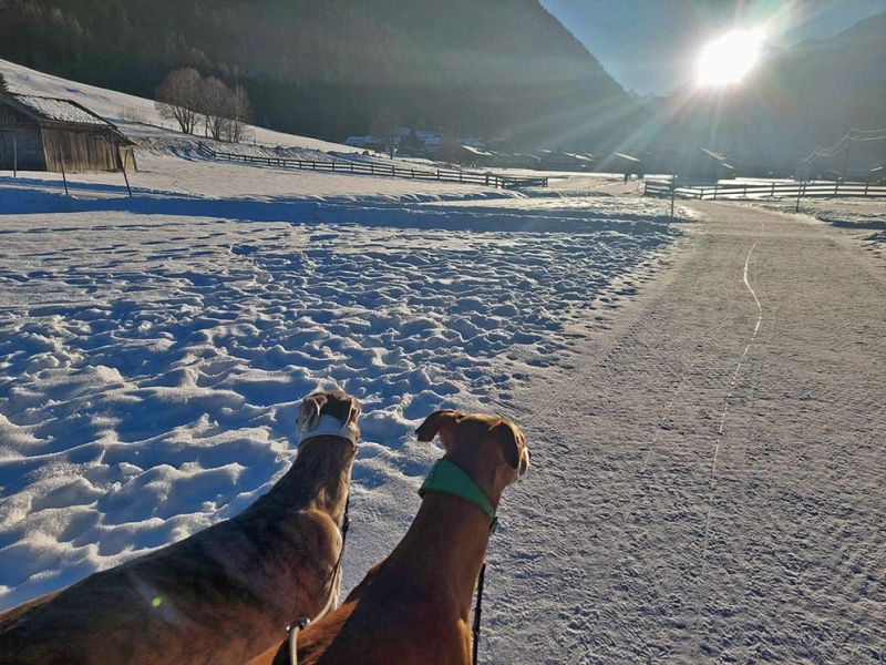 files/_uploads/2004_72_SchneecoursingTirol/Koepfe2vohi_2Sonne.jpg