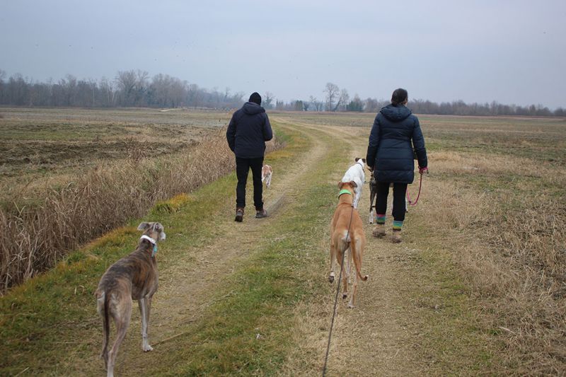 files/_uploads/2004_74_NeujahrinGrado4/Wald1.jpg