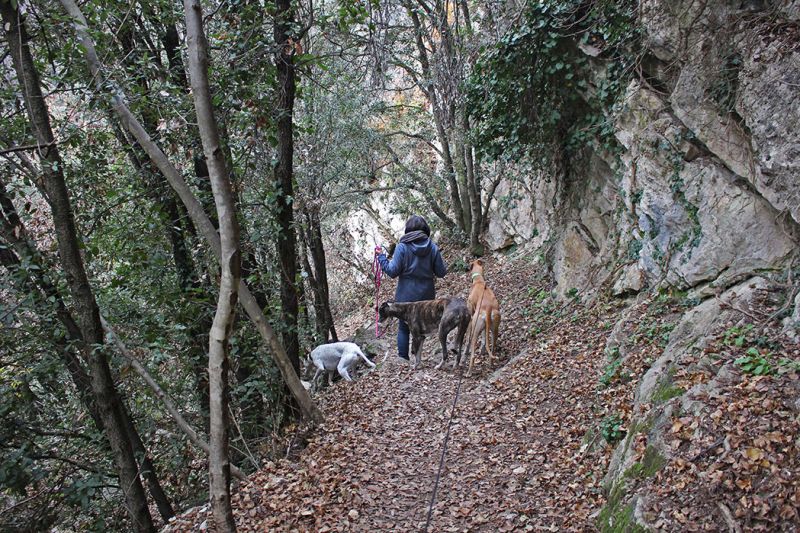 files/_uploads/2004_80_MaseradaSulPiave/WasserfallWeg1.jpg