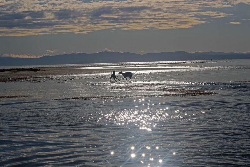 files/_uploads/2004_81_Grado1/Stimmung4.jpg