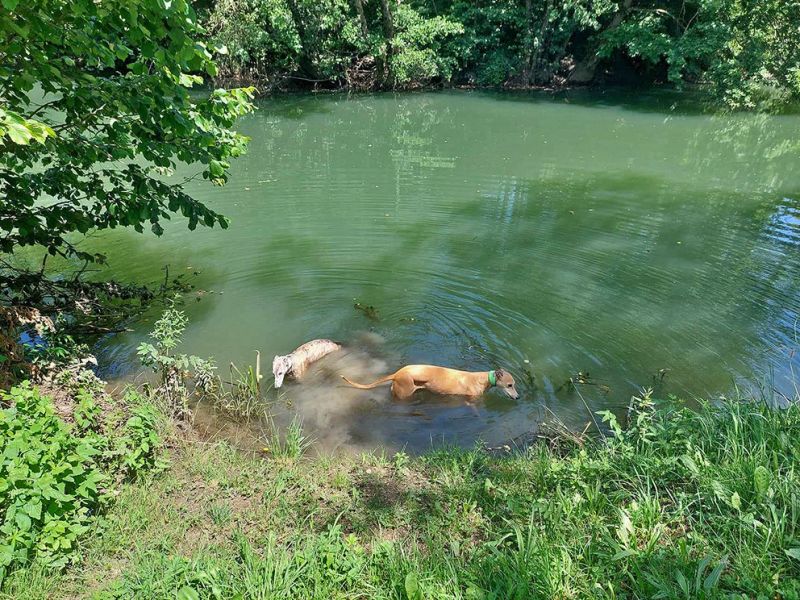 files/_uploads/2004_84_Postojna/Spaziergang1.jpg
