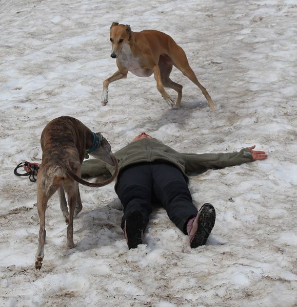files/_uploads/2004_85_RaxundBreezy/Schneeengerl3.jpg