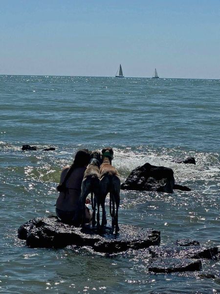 files/_uploads/2004_86_CACIBumag/ichmeineMeer1.jpg