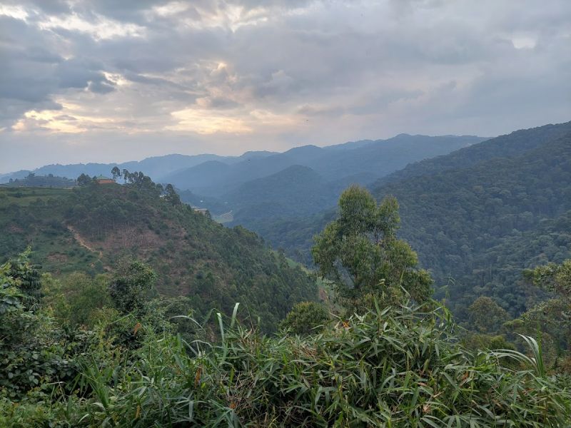 files/_uploads/2004_89_UgandaTeil8/Bwindi16.jpg