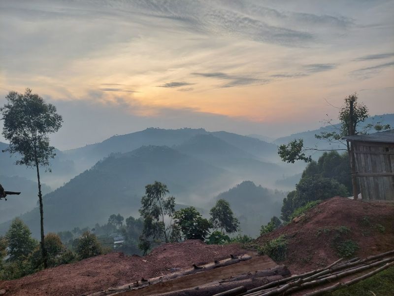 files/_uploads/2004_89_UgandaTeil8/Bwindi19.jpg