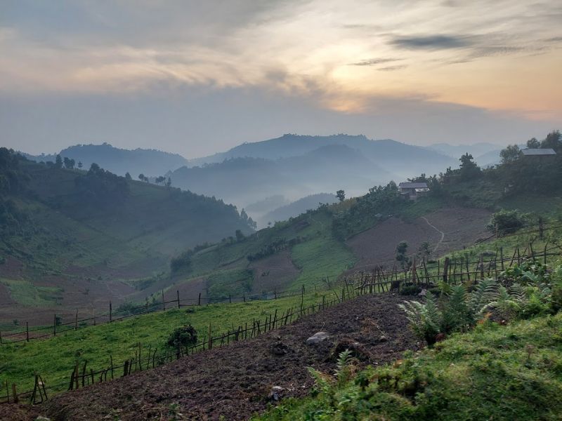 files/_uploads/2004_89_UgandaTeil8/Bwindi21.jpg