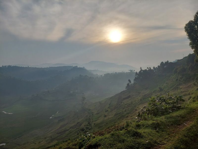 files/_uploads/2004_89_UgandaTeil8/Bwindi23.jpg