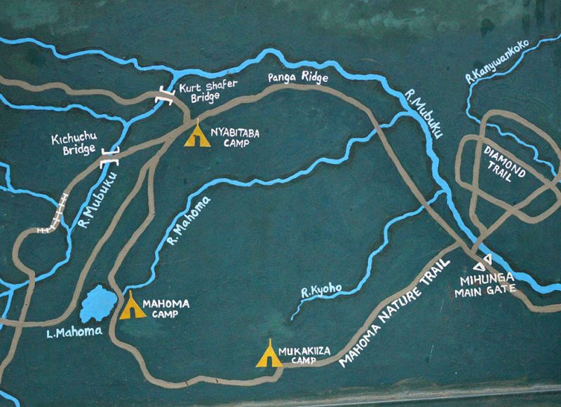 files/_uploads/2004_96_UgandaTeil1/RwenzoriGebirge3.jpg