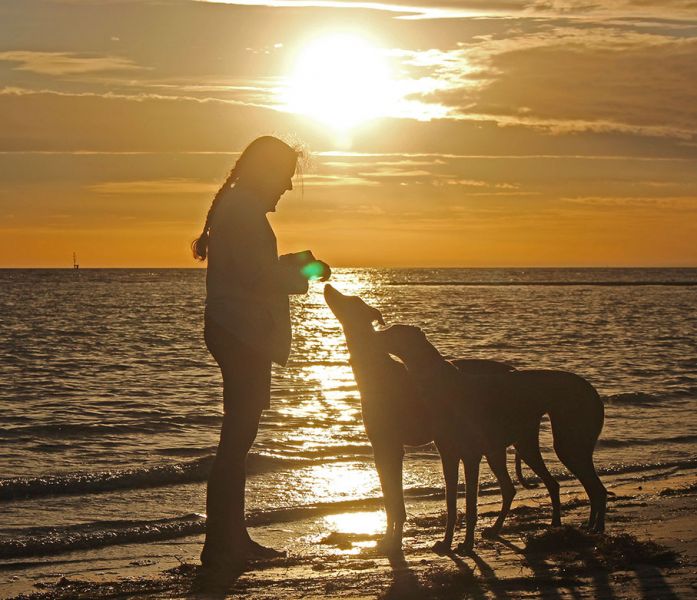 files/_uploads/2005_73_Gradoruftwieder Teil2/Sonnenuntergang3.jpg