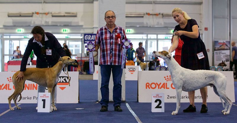 files/_uploads/2005_76_KomaromundTulln/HeavenBOB2+BOS.jpg