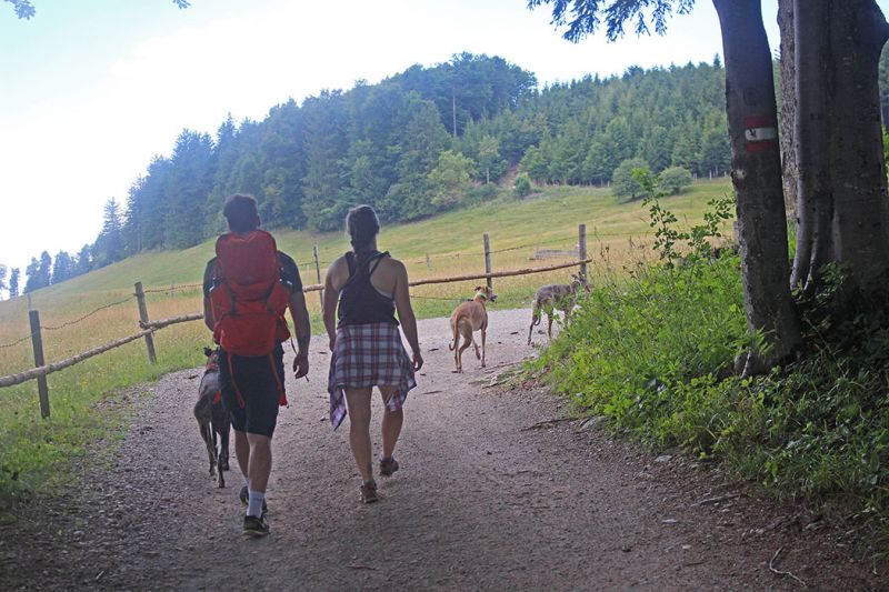 files/_uploads/2005_80_Mamauwiese/kurzvorWiese1.jpg