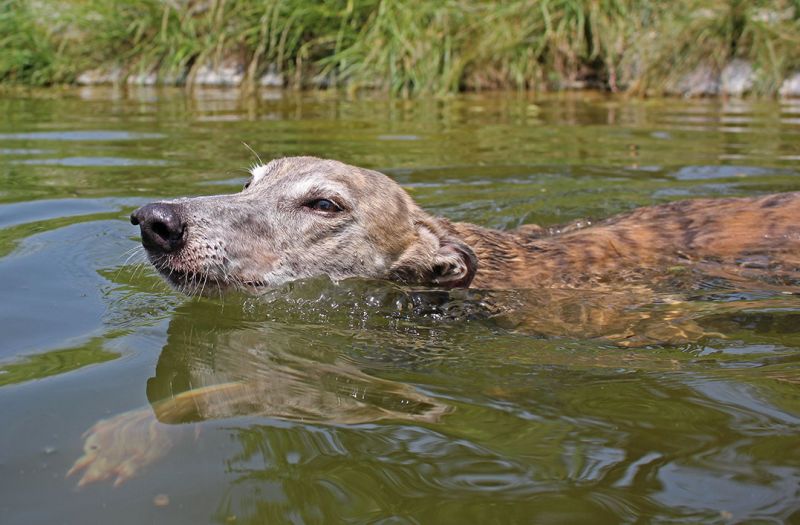 files/_uploads/2005_81_IHAKlagenfurtundamWasser/TAnnie1.jpg