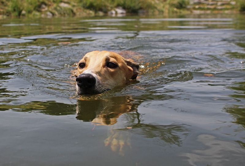 files/_uploads/2005_81_IHAKlagenfurtundamWasser/THeaven1.jpg