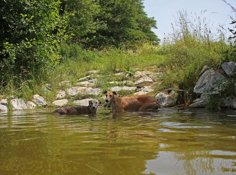 files/_uploads/2005_81_IHAKlagenfurtundamWasser/Teichmitbeiden1.jpg