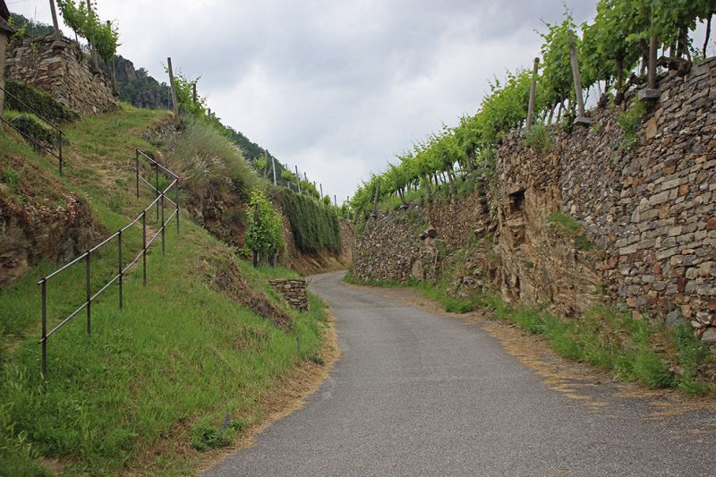 files/_uploads/2005_83_Wachau/Weg1.jpg