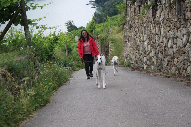 files/_uploads/2005_83_Wachau/Weg4Sandra.jpg