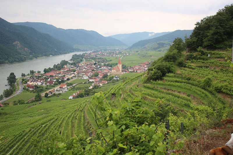 files/_uploads/2005_83_Wachau/Weissenstein1.jpg