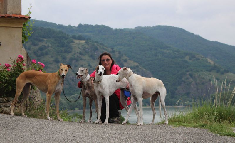 files/_uploads/2005_83_Wachau/alle1.jpg
