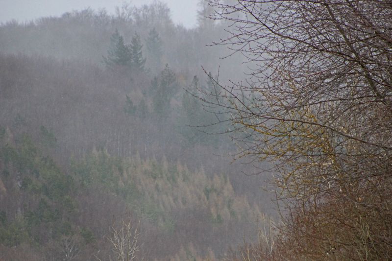 files/_uploads/2005_93_derFruehlingklopftan/WinterFruehling.jpg