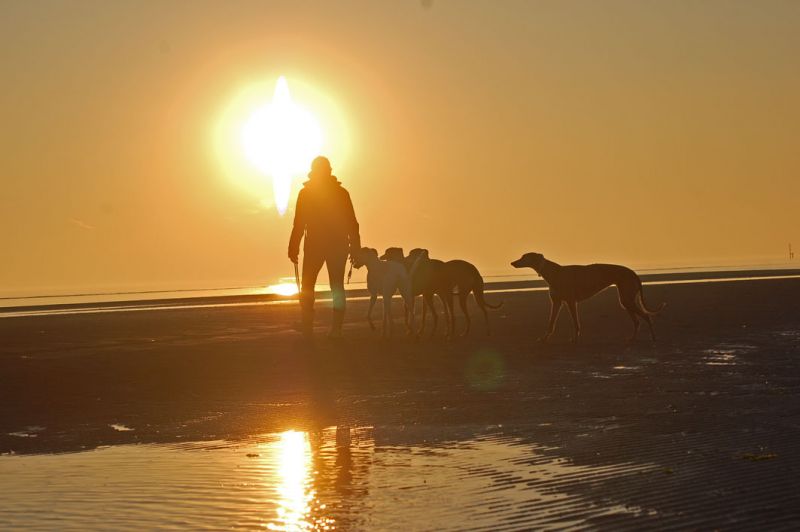 files/_uploads/2005_94_Grado/goldenhour1.jpg