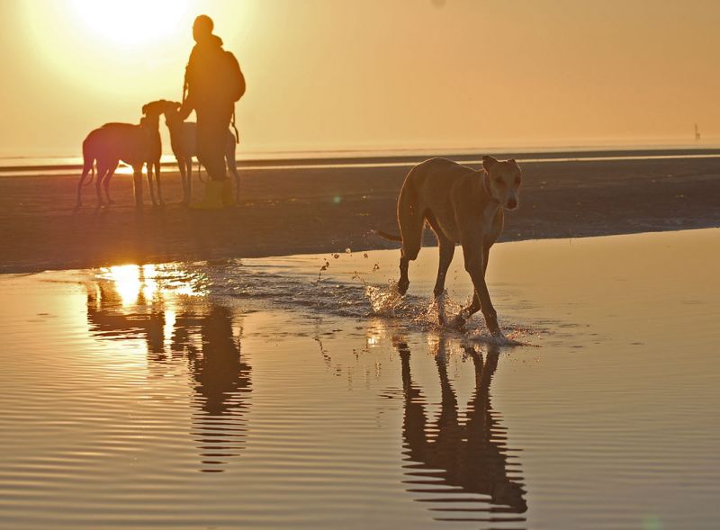 files/_uploads/2005_94_Grado/goldenhour7.jpg