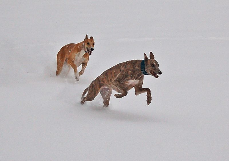 files/_uploads/2005_97_nochmehrSchnee/AllieHeaven1.jpg