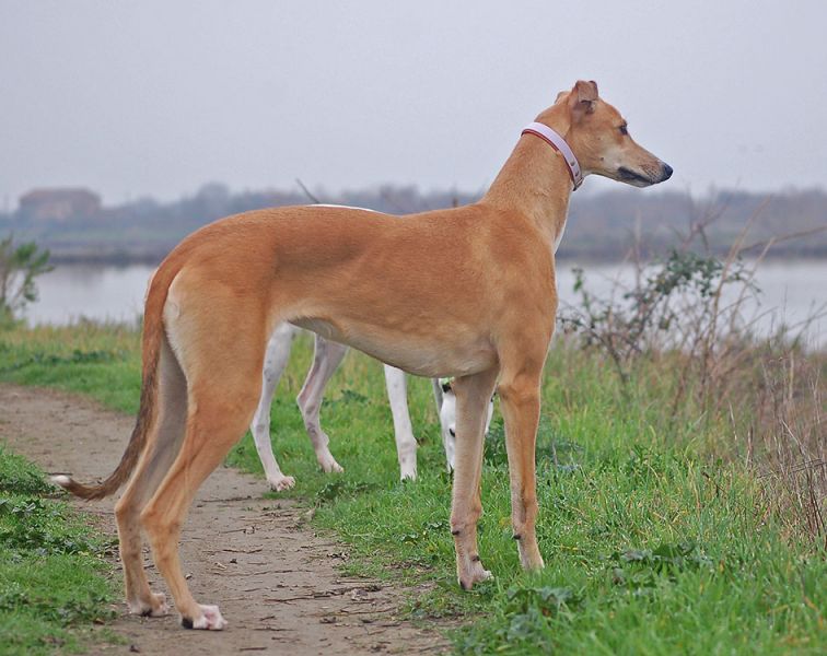 files/_uploads/2006_63_AusfluegeamMeer/LioP_HeavenStand2.jpg