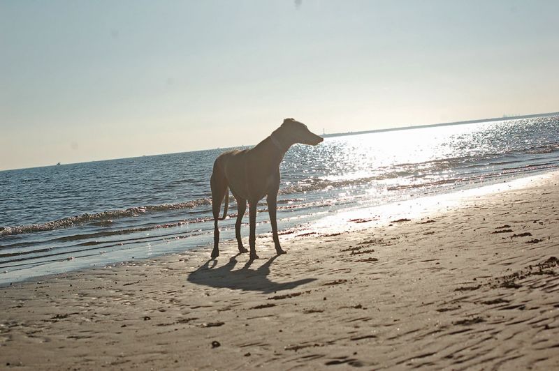 files/_uploads/2006_64_SandundMeer/AnnieStimmung1.jpg