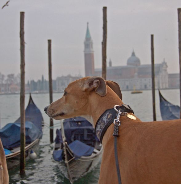 files/_uploads/2006_65_Venicecalling/V_Heaven2.jpg