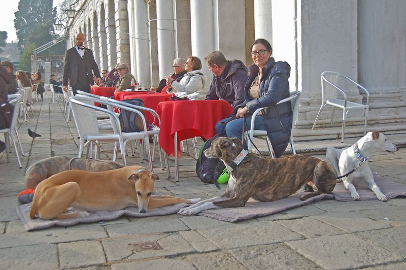 files/_uploads/2006_65_Venicecalling/V_Kaffee.jpg