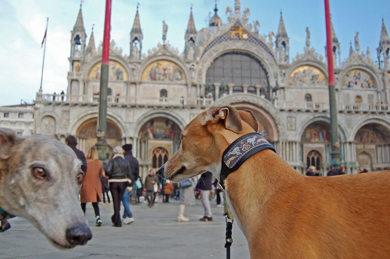 files/_uploads/2006_65_Venicecalling/V_Markusplatz7Photobomb.jpg