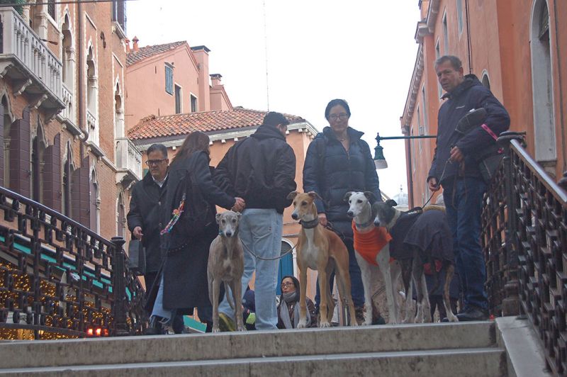 files/_uploads/2006_65_Venicecalling/V_Susi3.jpg