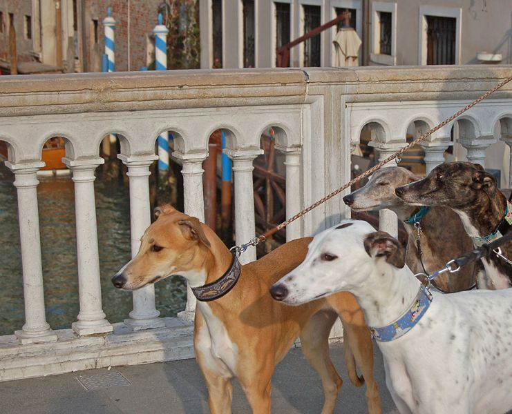 files/_uploads/2006_65_Venicecalling/V_alleKoepfe.jpg