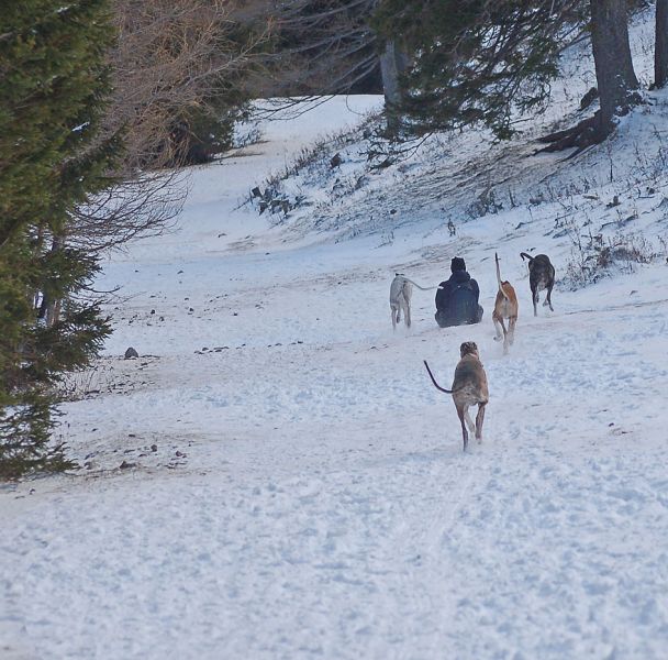 files/_uploads/2006_66_endlichSchnee/Bob3.jpg