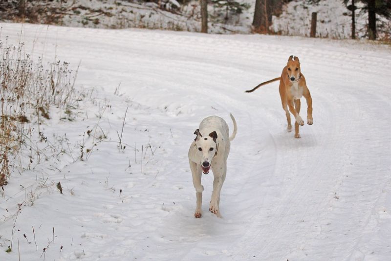 files/_uploads/2006_66_endlichSchnee/HeavenLolaRun1.jpg