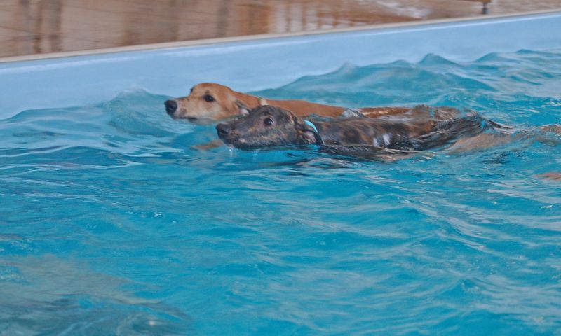 files/_uploads/2006_67_Schneeundauchschwimmen/HeavenCara2.jpg