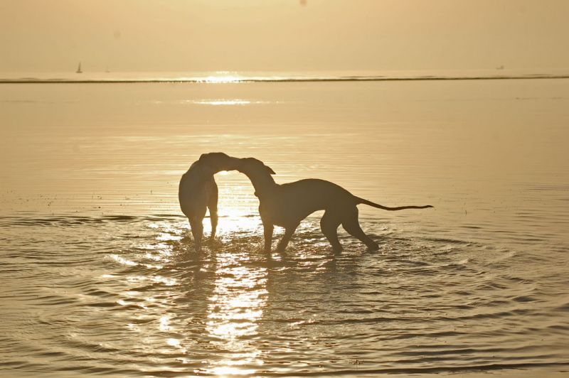 files/_uploads/2006_69_Italyagain/goldenhour7.jpg