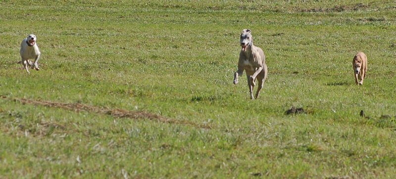 files/_uploads/2006_70_goldenerHerbst/alle3rennen4.jpg