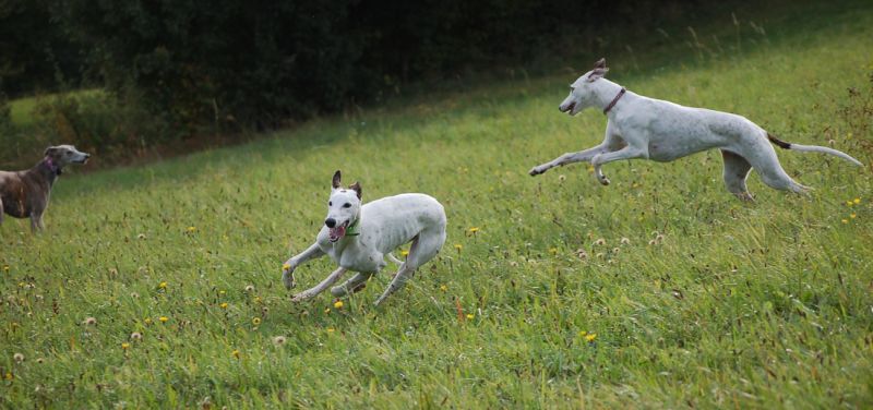 files/_uploads/2006_73_KatharinazuBesuch/Run10.jpg