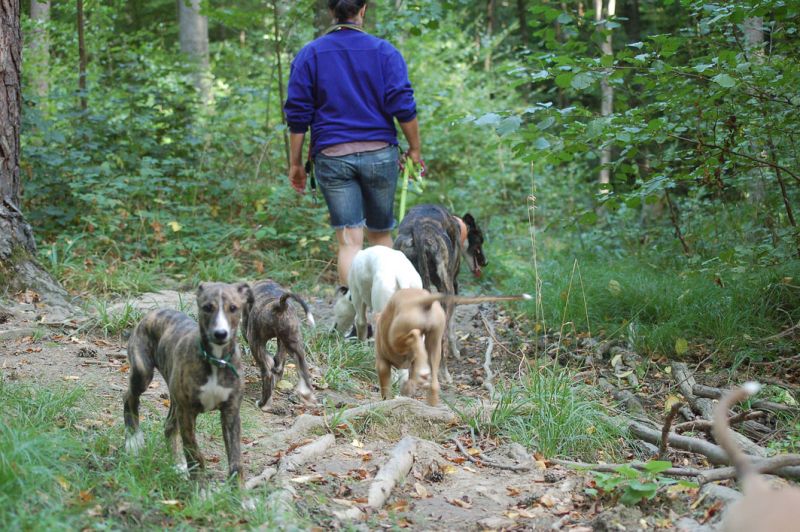 files/_uploads/2006_80_Woche9_Teil2/imWald1.jpg